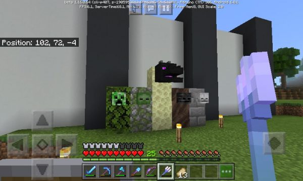 Mob heads that the player got with a Channeling trident